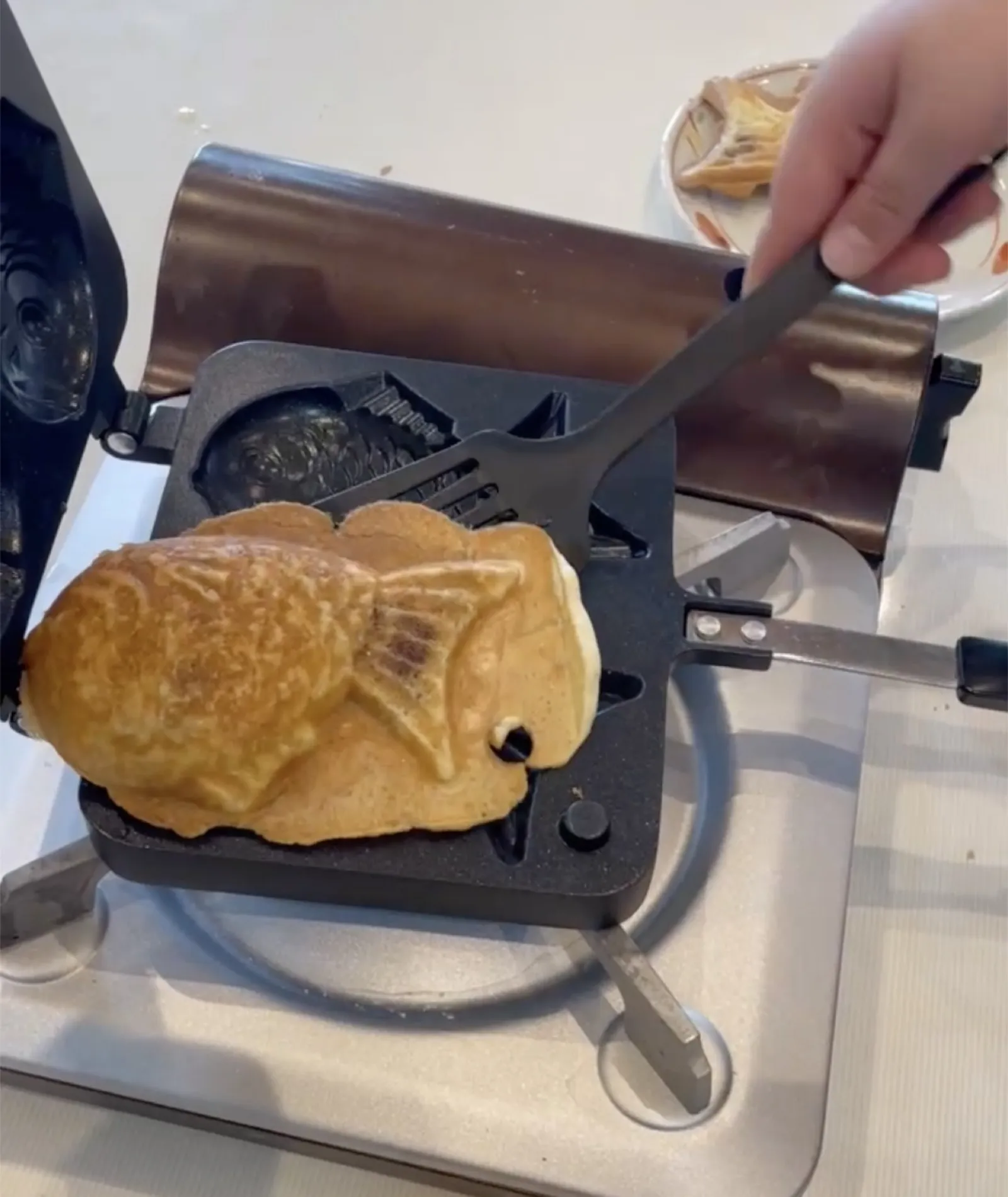 Hoto and Taiyaki Set